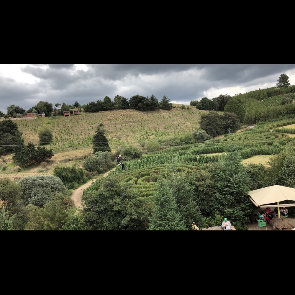 Meet your Posher, Nora